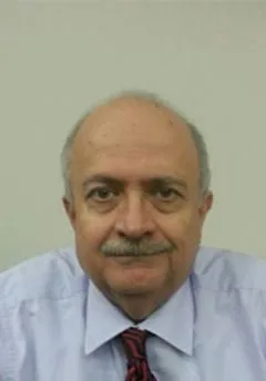 Prof. Dr. Sefa Saygılı