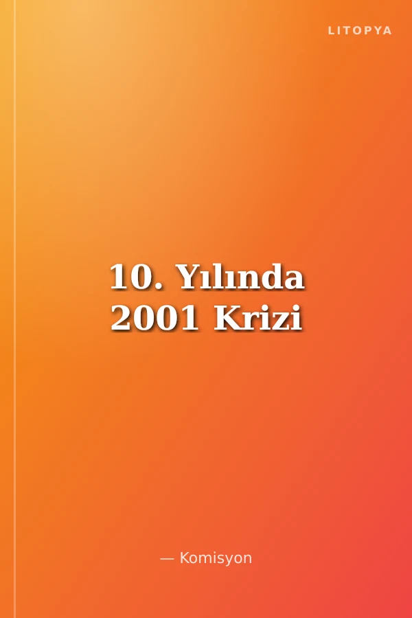 10. Yılında 2001 Krizi