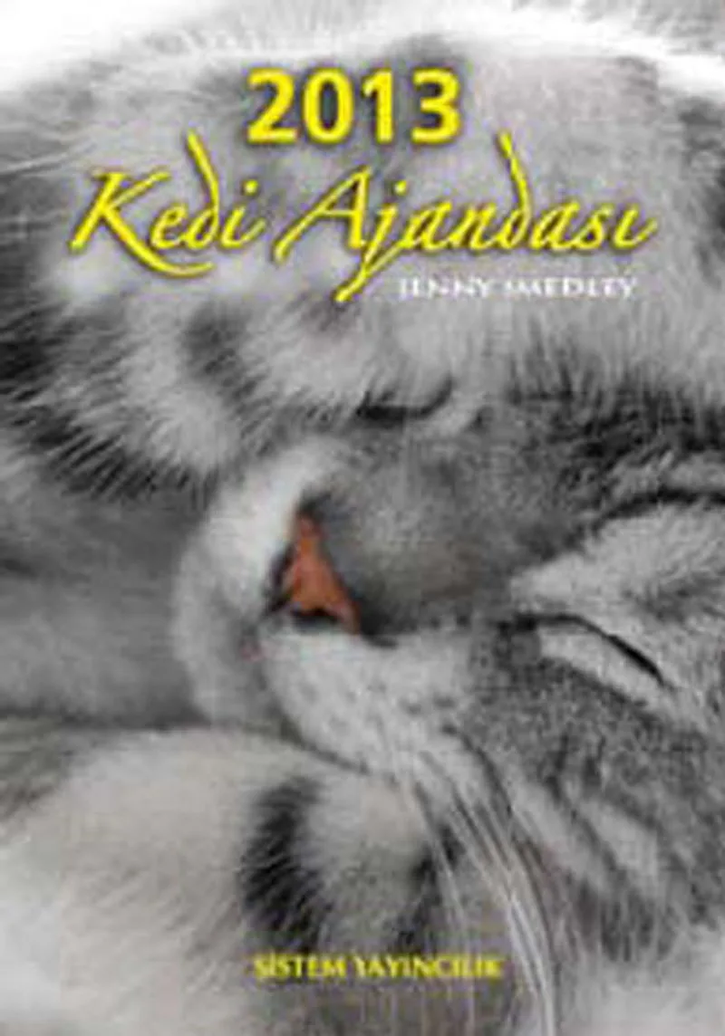 2013 Kedi Ajandası