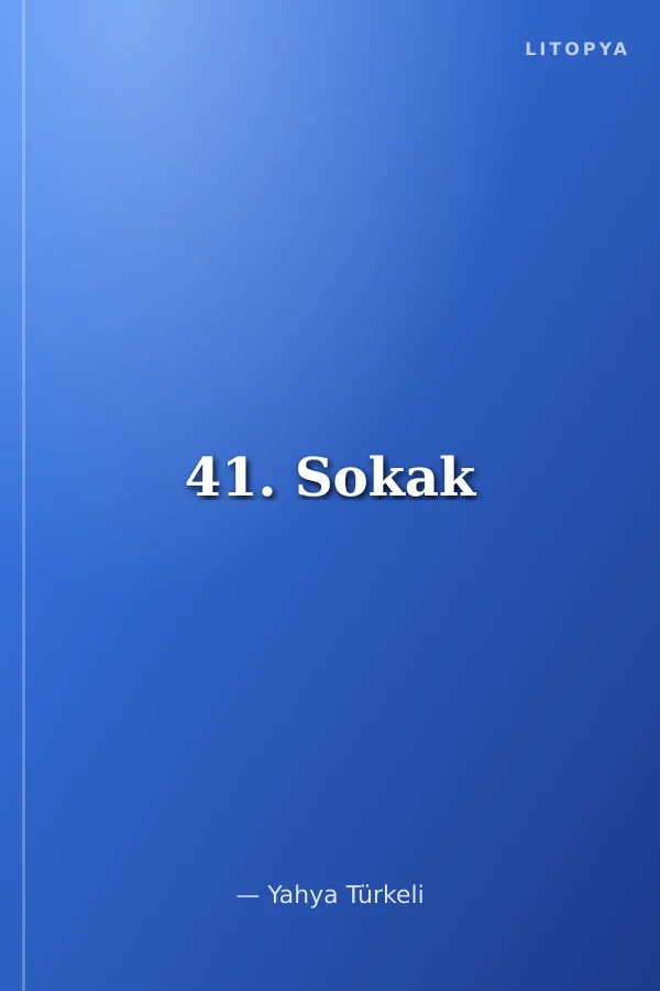 41. Sokak