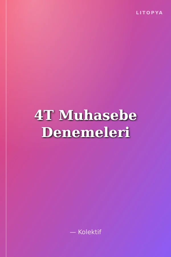 4T Muhasebe Denemeleri