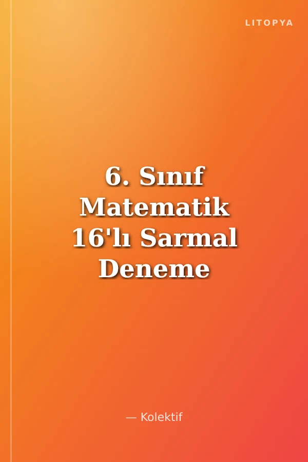 6. Sınıf Matematik 16'lı Sarmal Deneme
