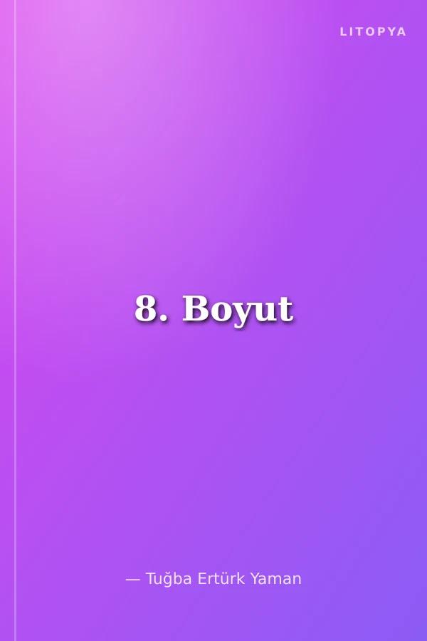 8. Boyut