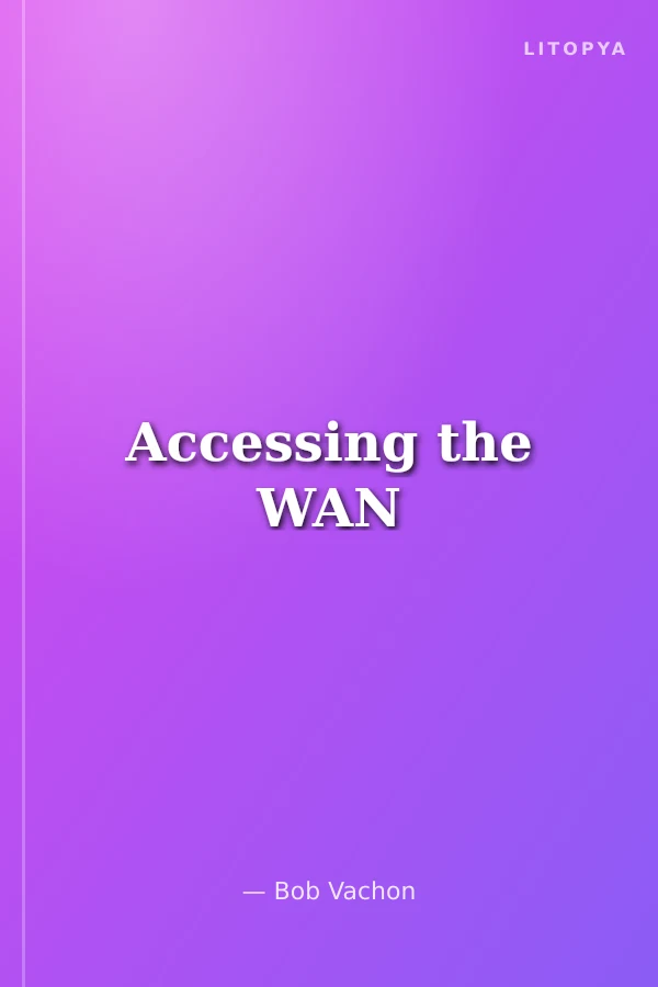 Accessing the WAN