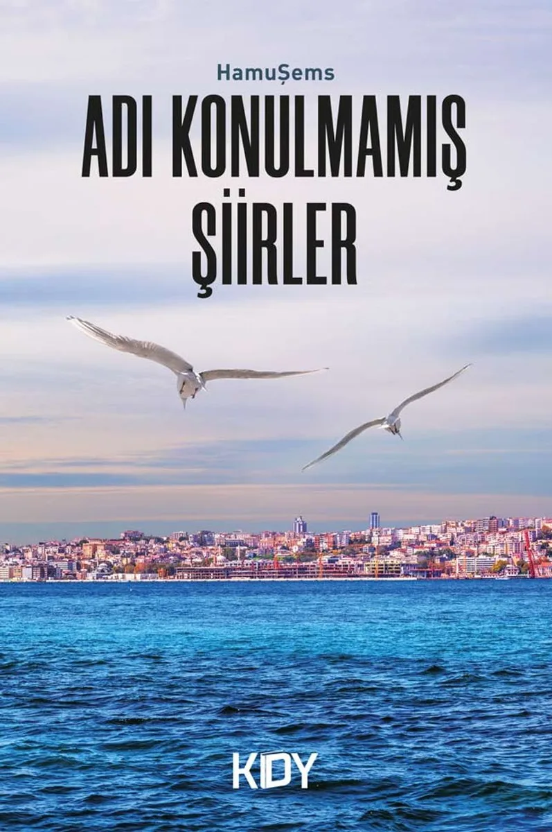 Adı Konulmamış Şiirler