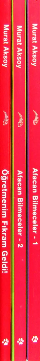 Afacan Bilmeceler (3 Kitap)