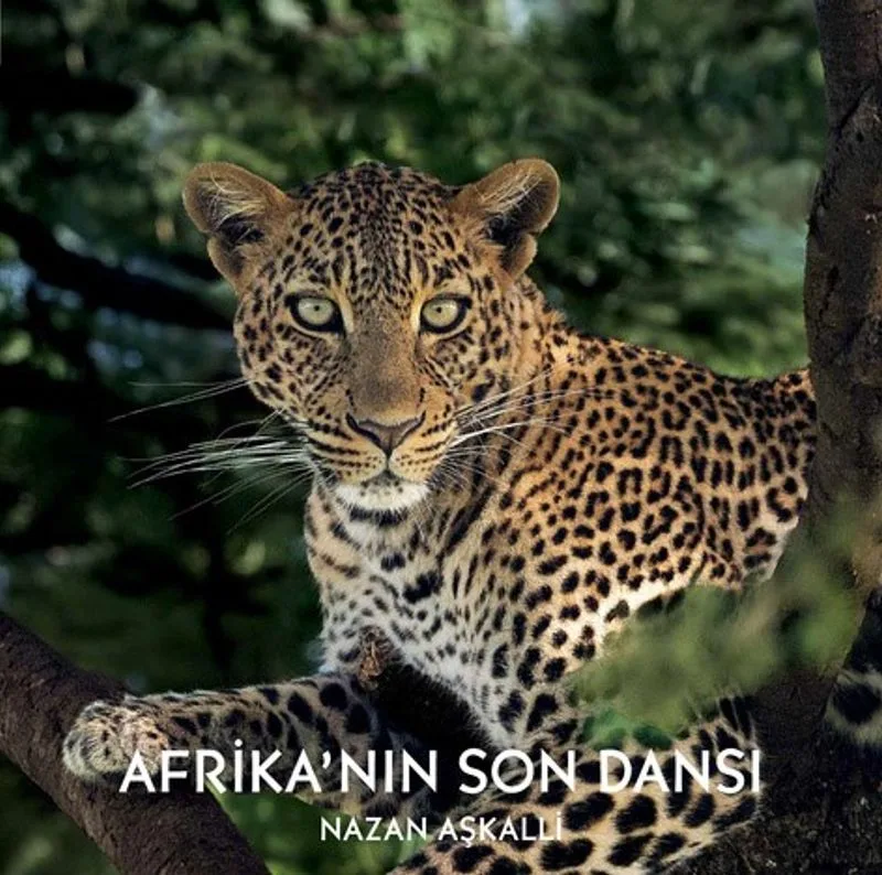 Afrika'nın Son Dansı