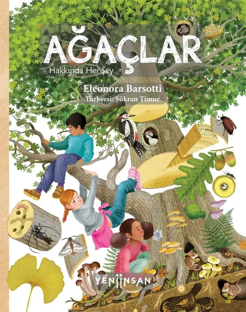 Ağaçlar Hakkında Her Şey