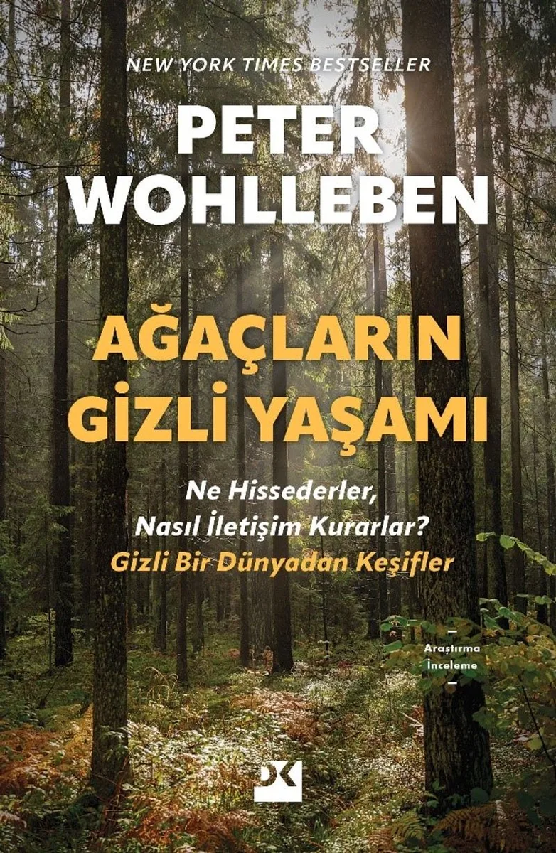 Ağaçların Gizli Yaşamı Ne Hissederler, Nasıl İletişim Kurarlar ? Gizli Bir Dünyadan Keşifler