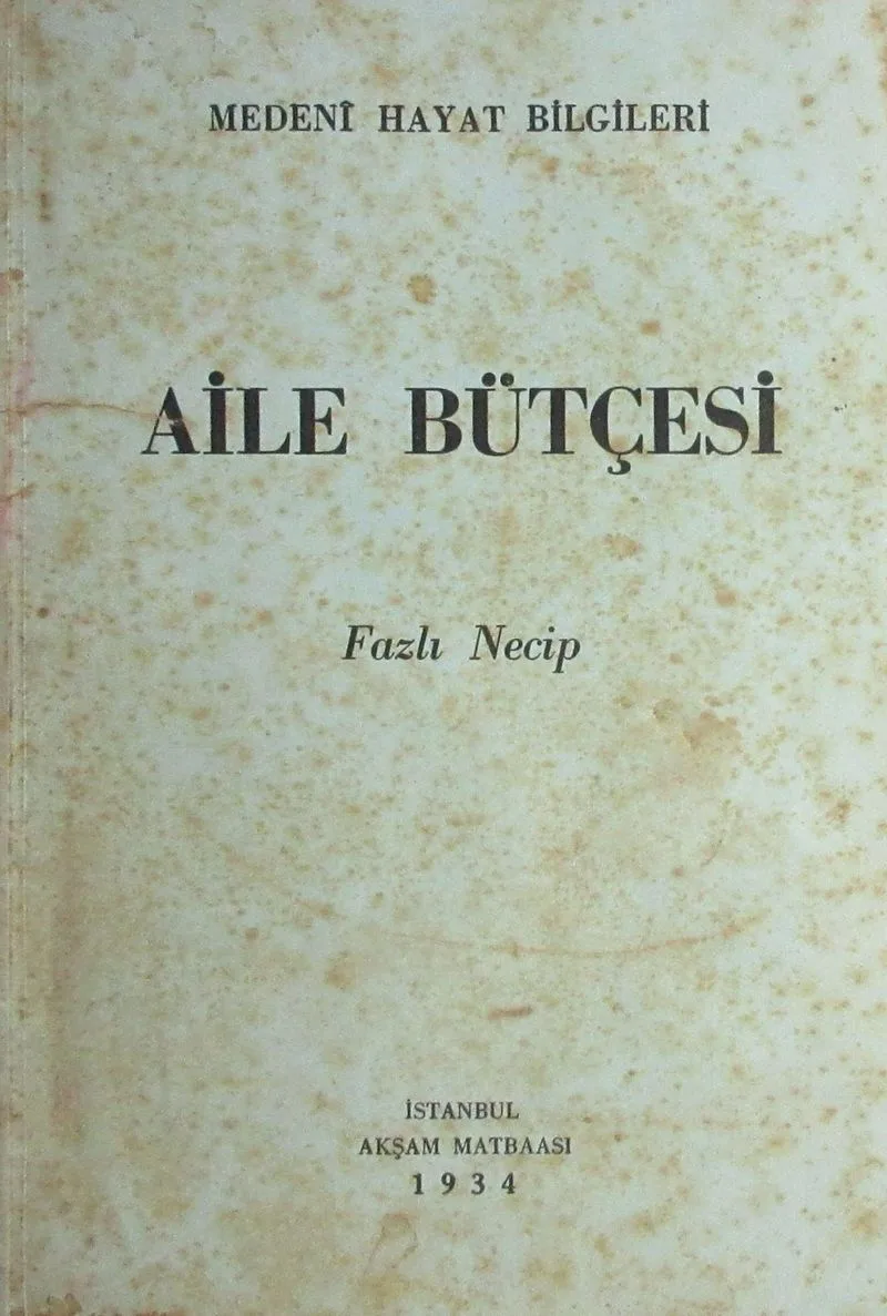 Aile Bütçesi (4-B-17)