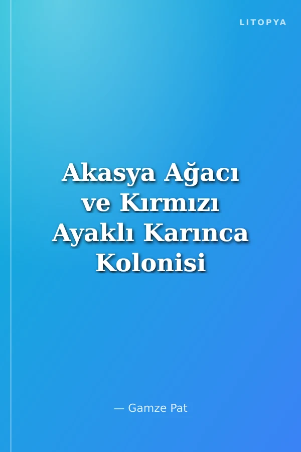 Akasya Ağacı ve Kırmızı Ayaklı Karınca Kolonisi