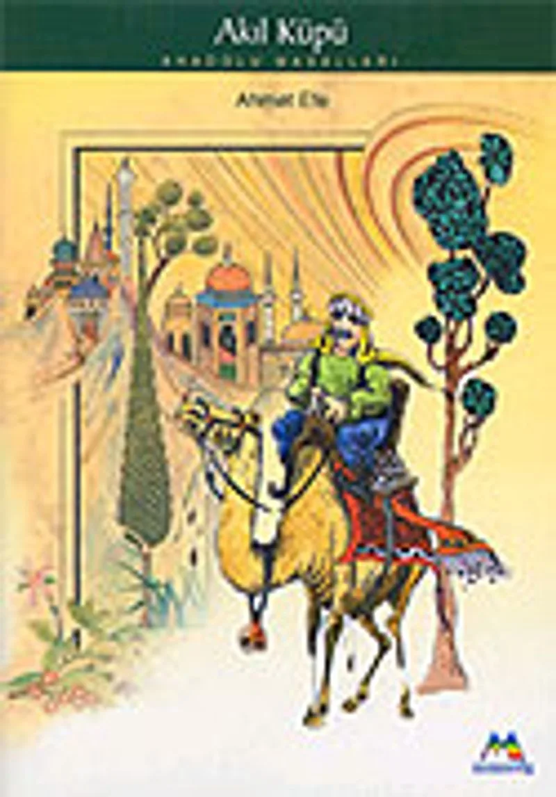 Akıl Küpü