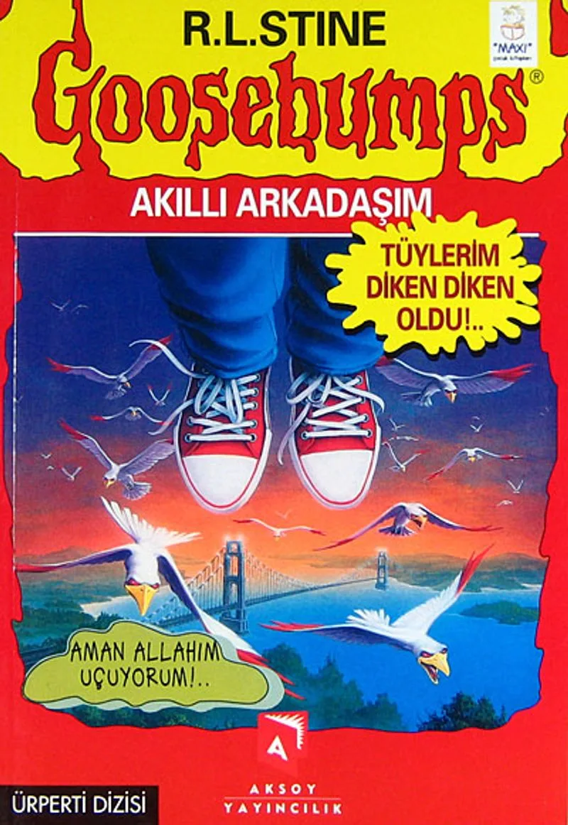 Akıllı Arkadaşım