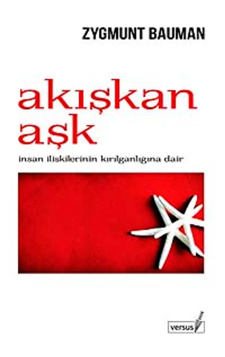 Akışkan Aşk İnsan İlişkilerinin Kırılganlığına Dair