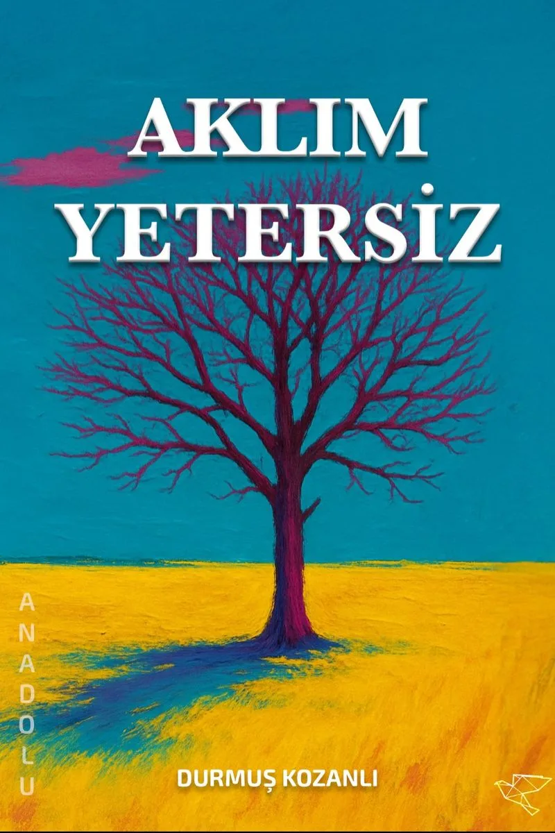 Aklım Yetersiz