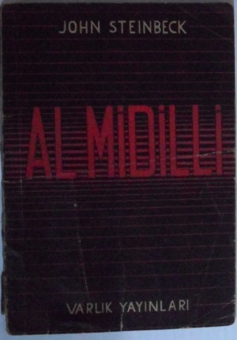 Al Midilli Kod: 8-G-23