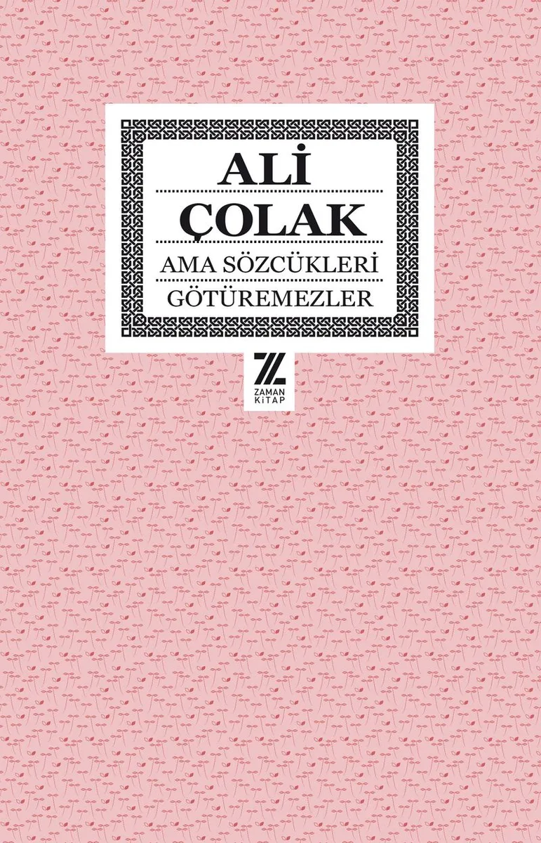 Ama Sözcükleri Götüremezler