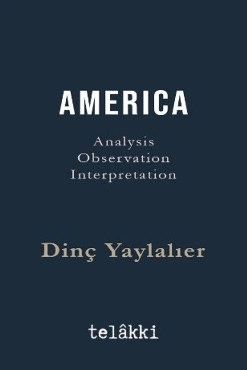 Amerıca Analysis - Observation - Interpretation