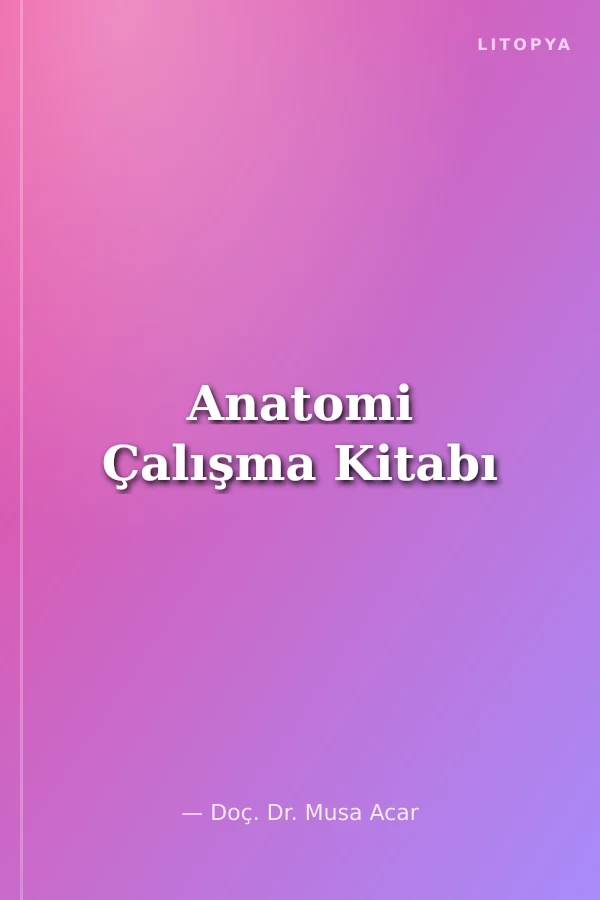 Anatomi Çalışma Kitabı