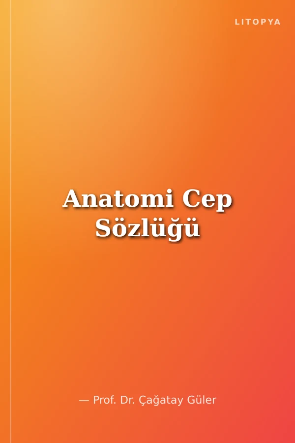 Anatomi Cep Sözlüğü