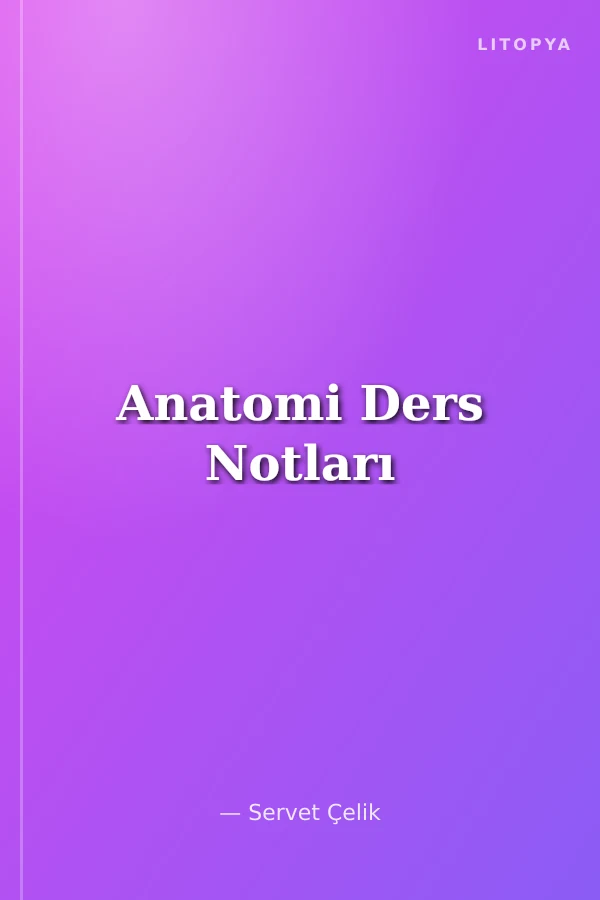 Anatomi Ders Notları