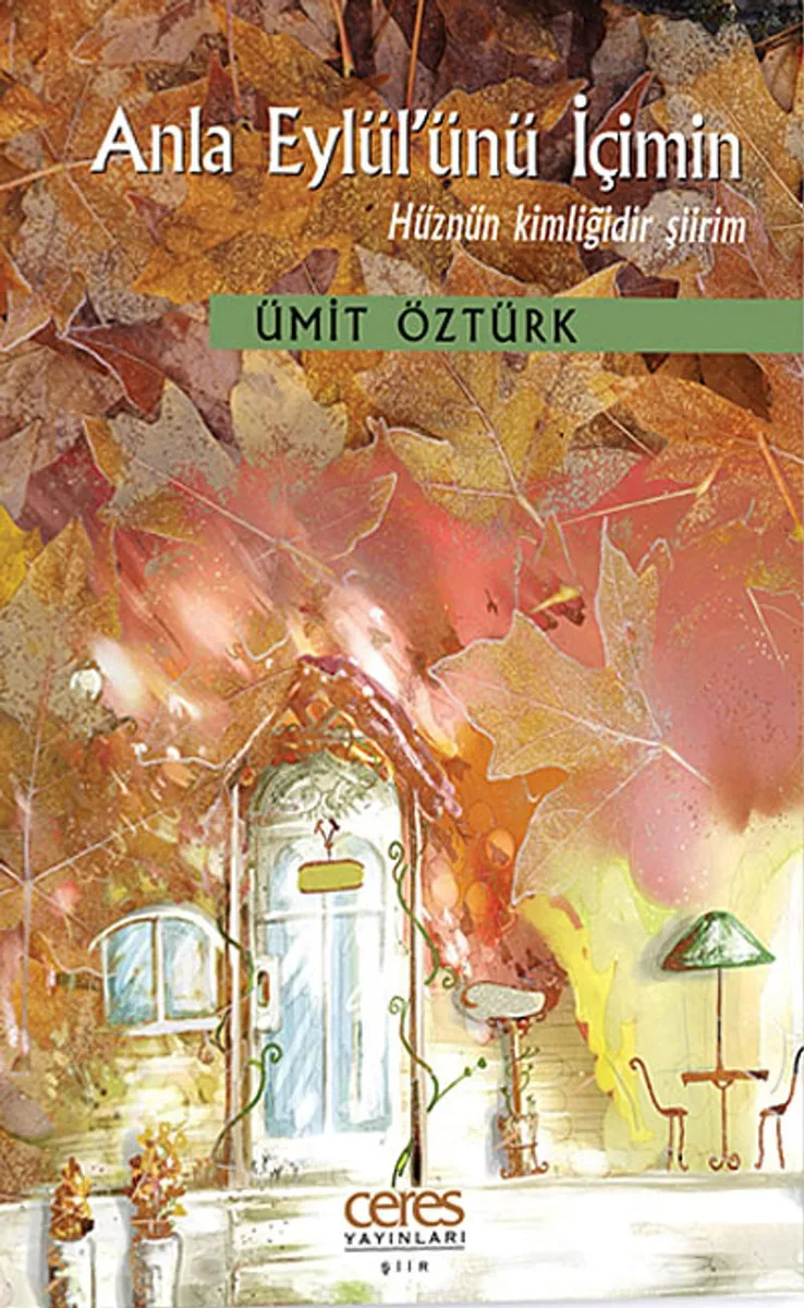 Anla Eylül'ünü İçimin Hüznün Kimliğidir Şiirim