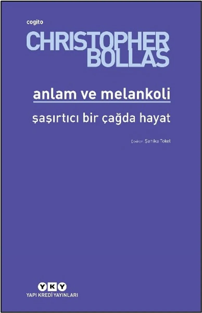 Anlam ve Melankoli Şaşırtıcı Bir Çağda Hayat