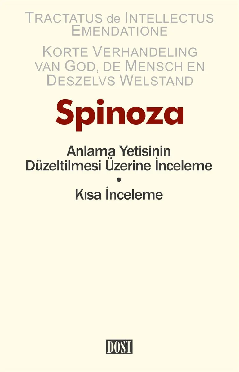 Anlama Yetisinin Düzeltilmesi Üzerine İnceleme - Kısa İnceleme