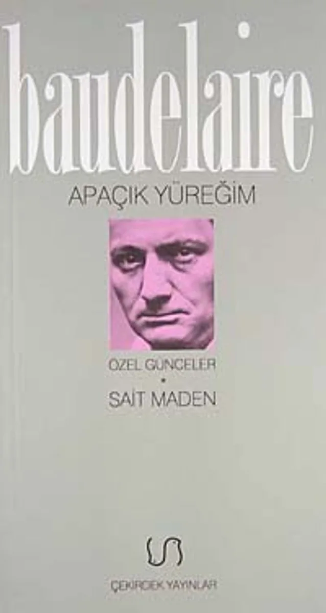 Apaçık Yüreğim/Özel Günceler