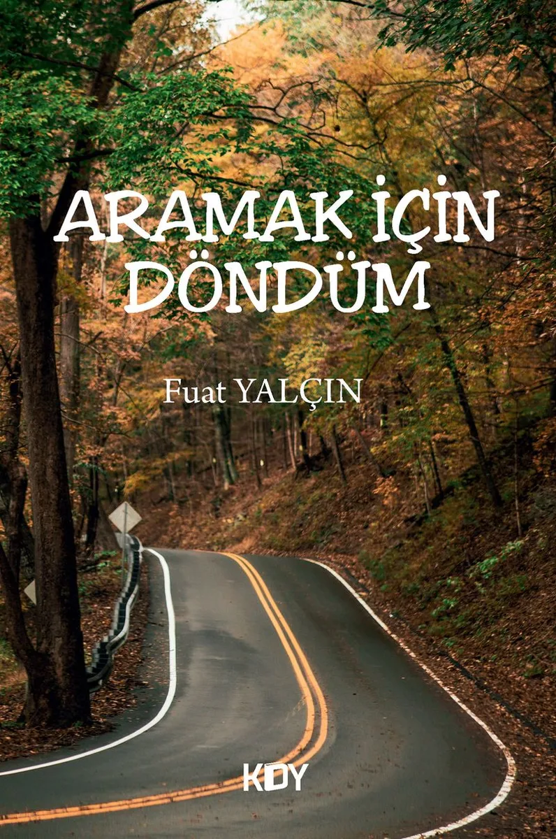 Aramak İçin Döndüm