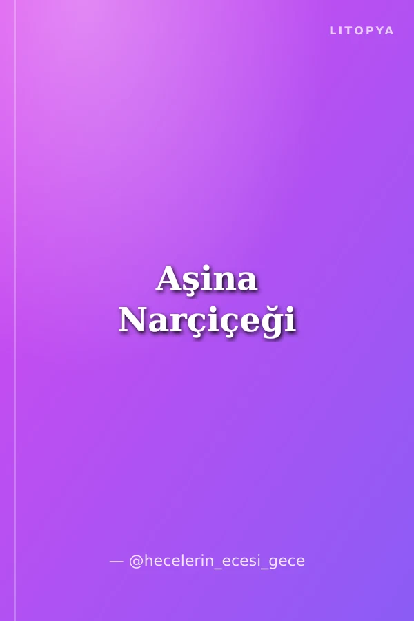 Aşina Narçiçeği