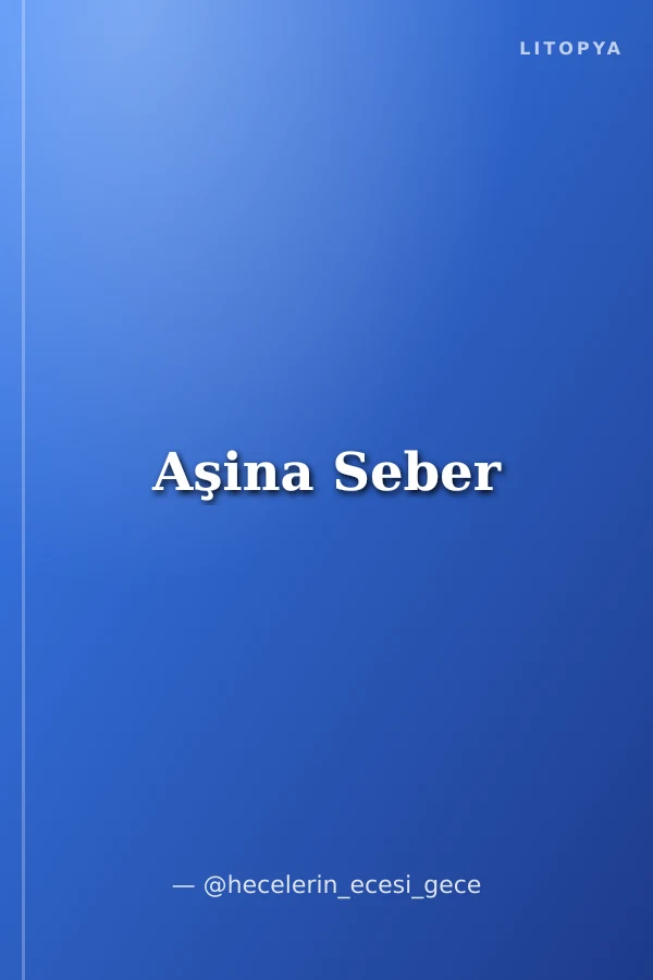 Aşina Seber