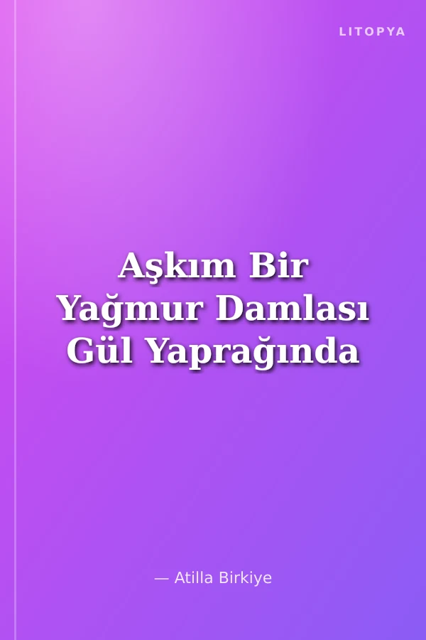 Aşkım Bir Yağmur Damlası Gül Yaprağında