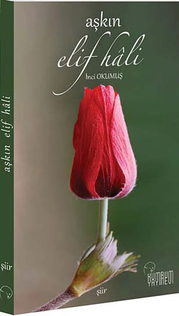 Aşkın Elif Hali
