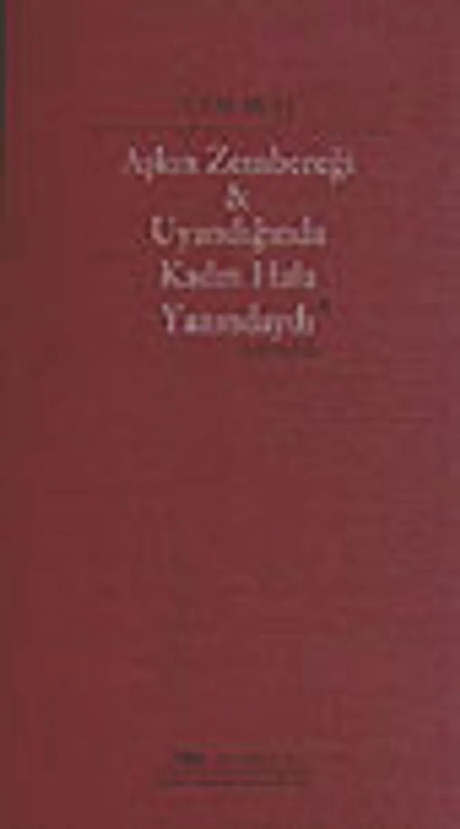 Aşkın Zembereği / Uyandığında Kadın Hala Yanındaydı
