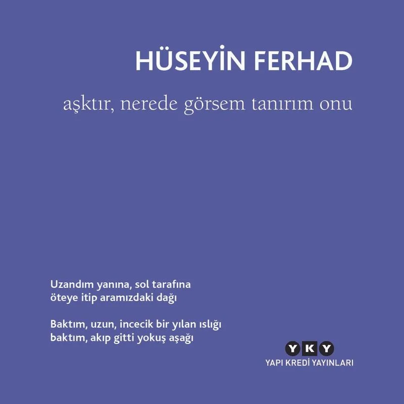 Aşktır, Nerede Görsem Tanırım Onu