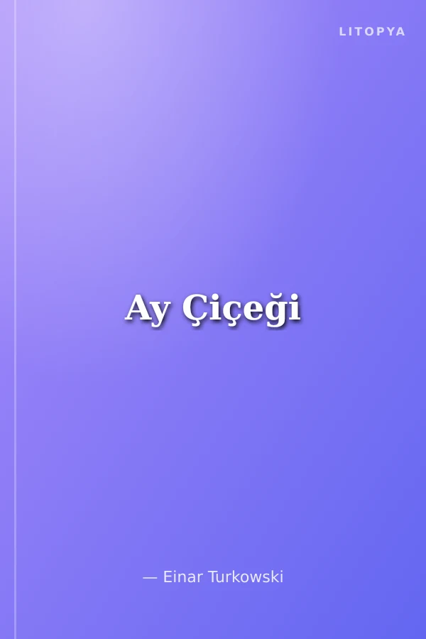 Ay Çiçeği