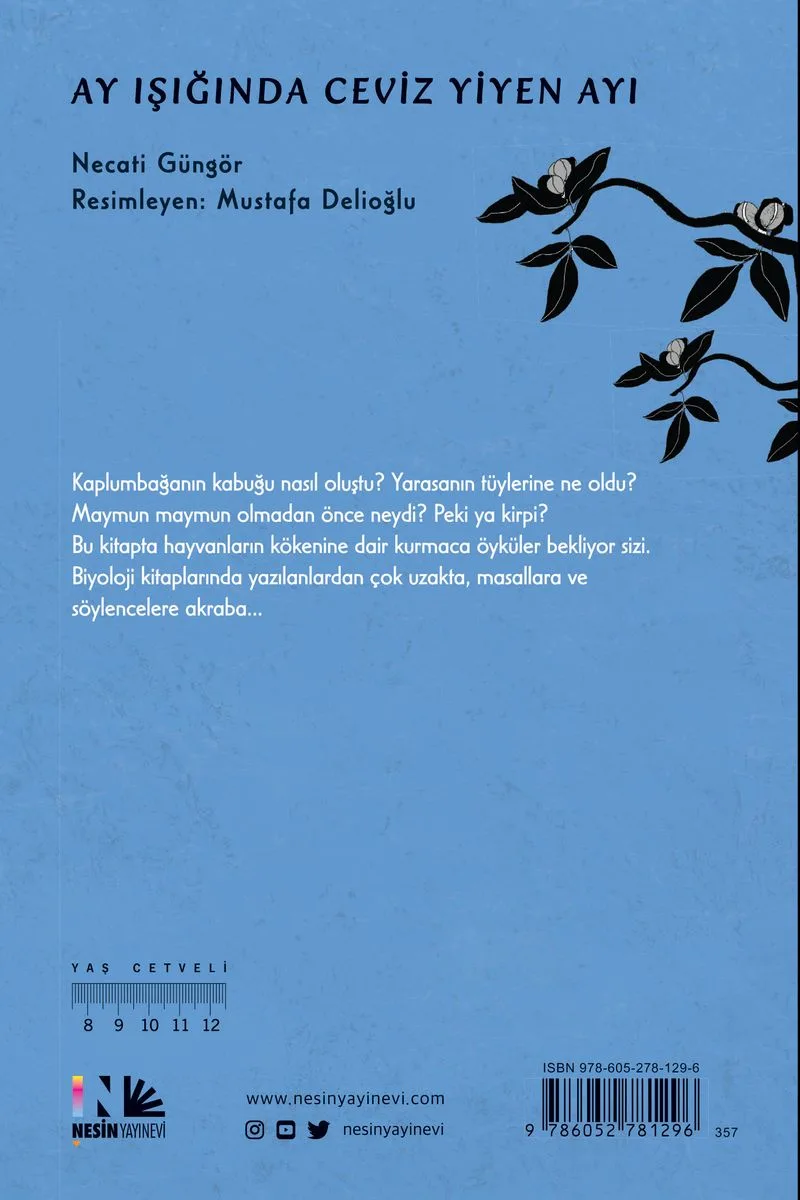 Ay Işığında Ceviz Yiyen Ayı