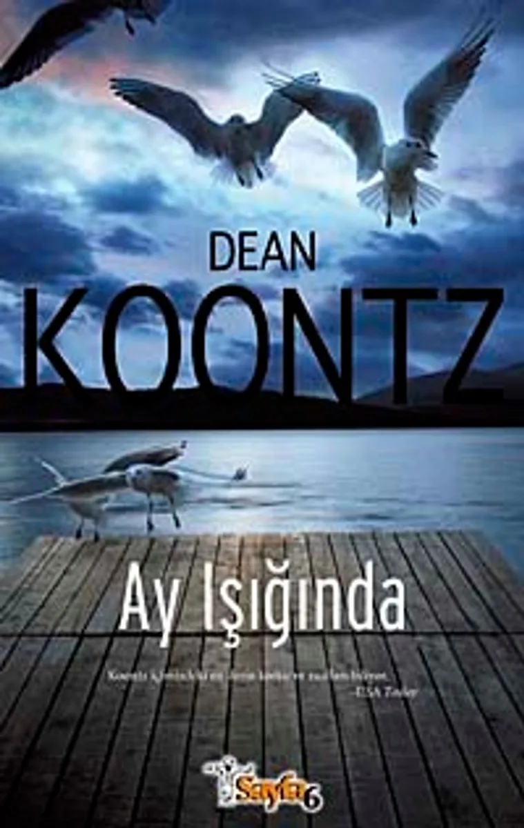 Ay Işığında