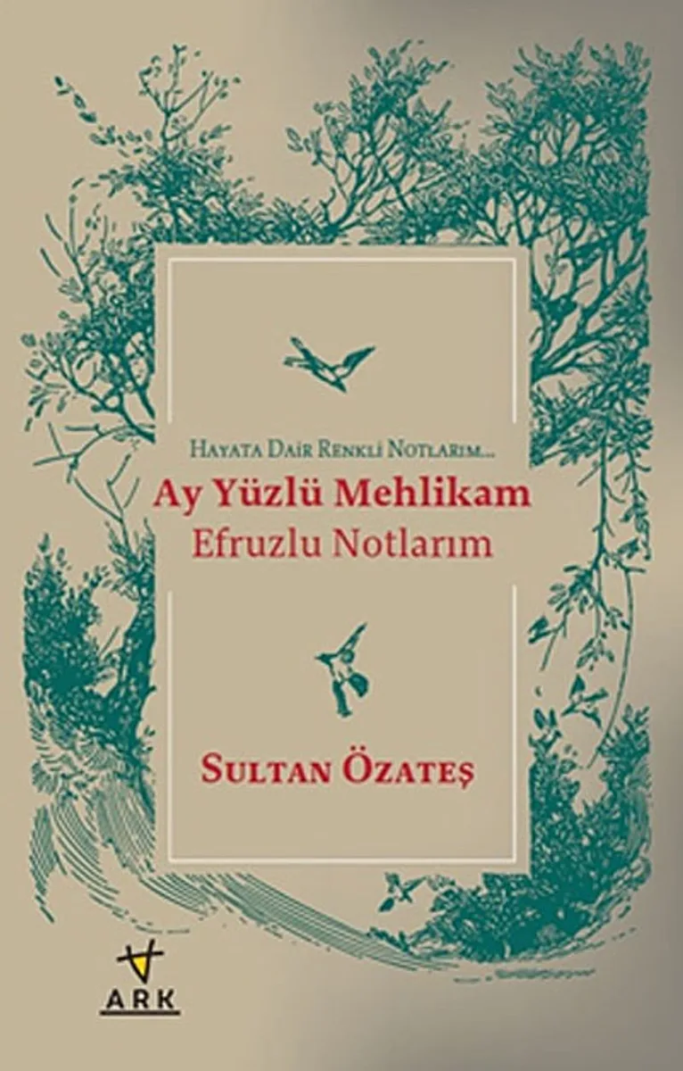 Ay Yüzlü Mehlikam - Efruzlu Notlarım Hayata Dair Renkli Notlarım
