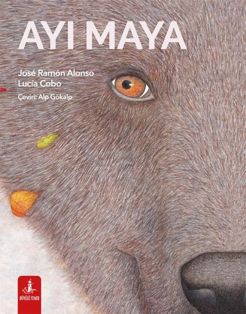 Ayı Maya