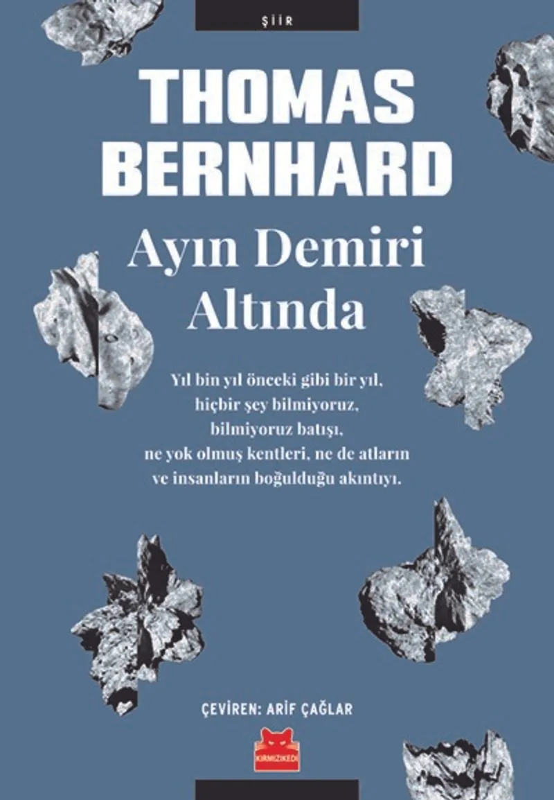 Ayın Demiri Altında