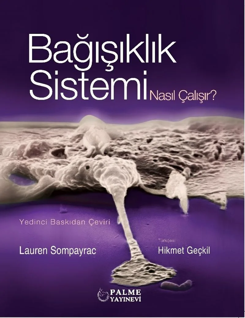 Bağışıklık Sistemi Nasıl Çalışır?