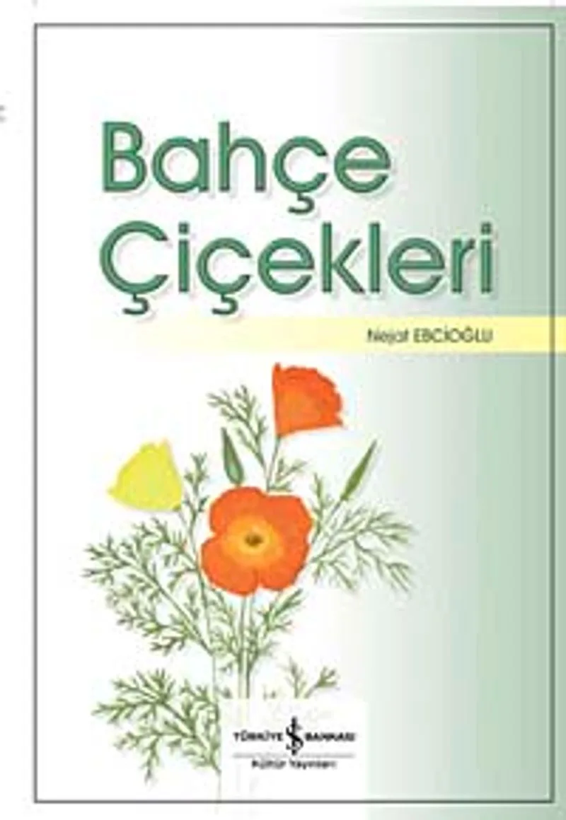 Bahçe Çiçekleri