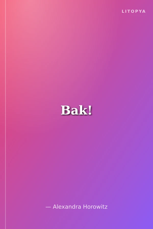 Bak!