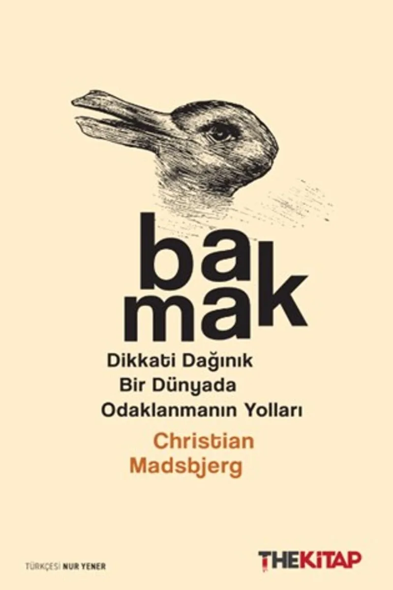 Bakmak Dikkati Dağınık Bir Dünyada Odaklanmanın Yolları