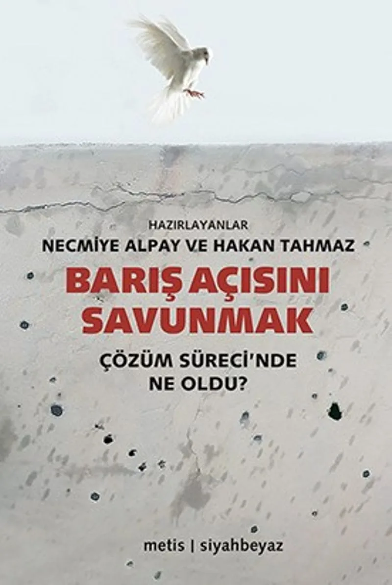 Barış Açısını Savunmak Çözüm Sürecinde Ne Oldu?