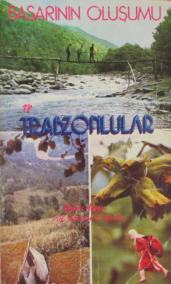 Başarının Oluşumu ve Trabzonlular (2-F-53)