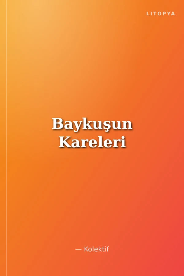 Baykuşun Kareleri
