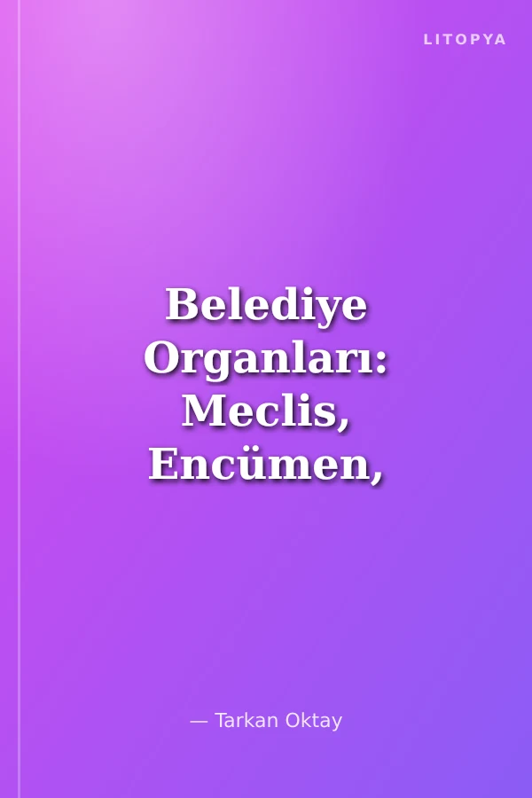 Belediye Organları: Meclis, Encümen, Başkan